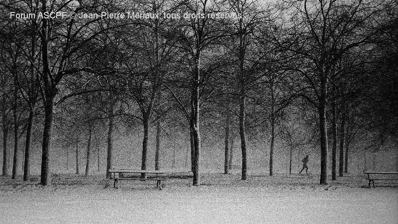 Du noir et blanc argentique dans le bois de Vincennes (j’en fait encore avec mon vieux Leica M6 …)